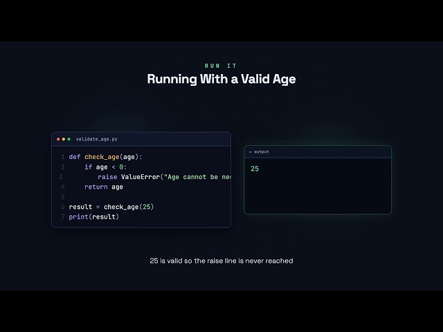 Raising Exceptions - Python for Beginners
