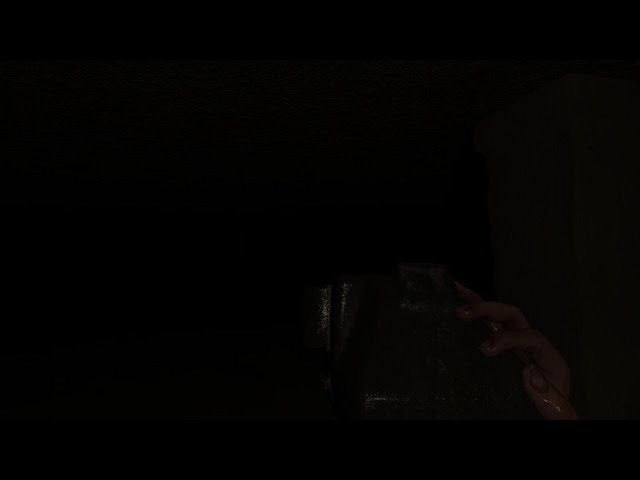 MADiSON VR Well basement photos guide