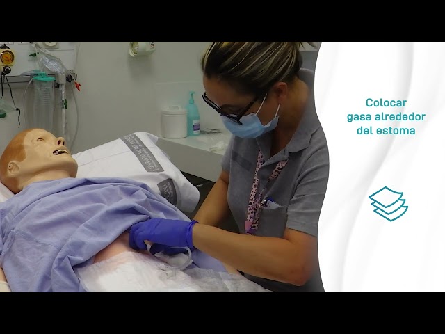 Cuidados de la gastrostomía o sonda tipo PEG. Recomendaciones para el manejo en el domicilio