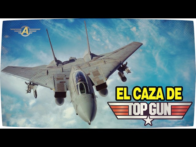 The fighter jet from TOP GUN - Grumman F-14 Tomcat