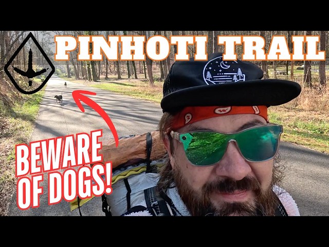 Backpacking The Pinhoti Trail Day 3 BEWARE OF DOGS! Kimm's Camp to Dollar General