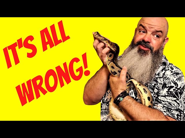 All the Wrong Ball Python Info on the Internet