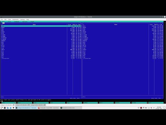 The Gods Must Be Crazy: FreeBSD Debian linux jail + vnet + IPv6 + remote access via ssh