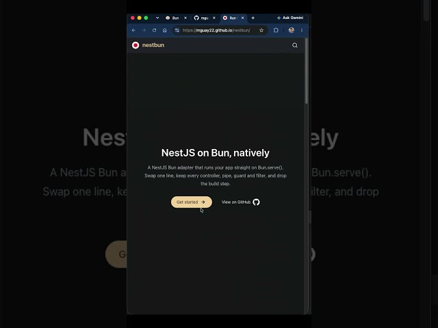NestJS on Bun, natively