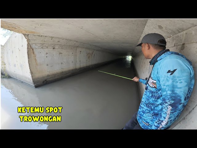 Baru tau kalau ada spot mancing terowongan seperti ini,mana ikan nya juga gacor