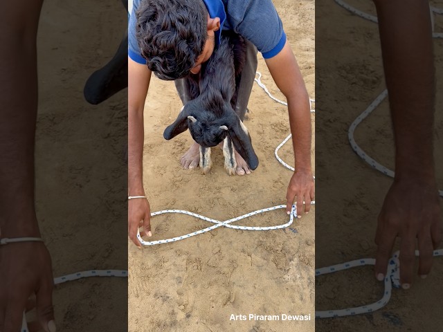 Wow,, Most Useful knot 😍