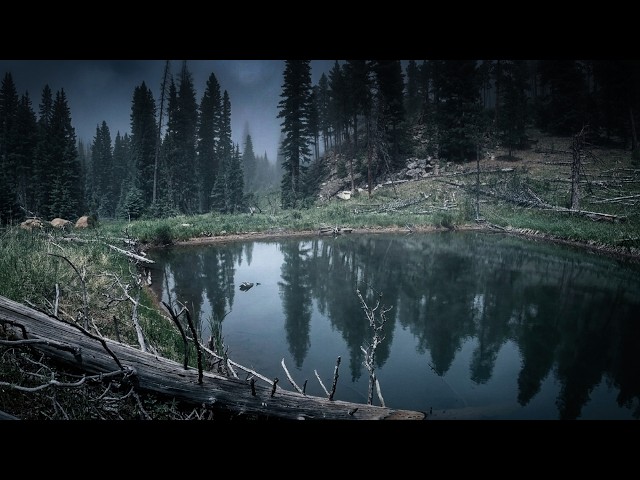I Left a Trail Camera at a Remote Pond... I Wasn't Expecting This