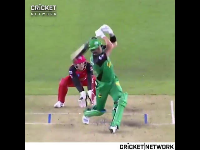 Another Super Star ,Lights up another Big Bash summer! MUST Watch