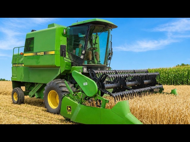 JOHN DEERE 4425 Combine Harvesting Wheat