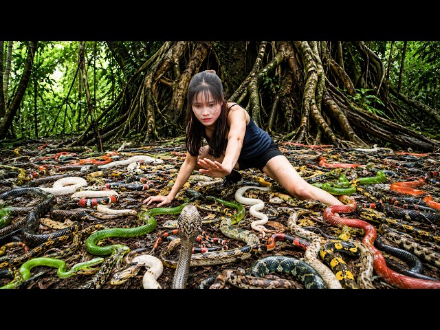 72 Hours Full Process 🔥 Girl Surrounded by Hundreds of Venomous Snakes | Fights to Find a Way Out!