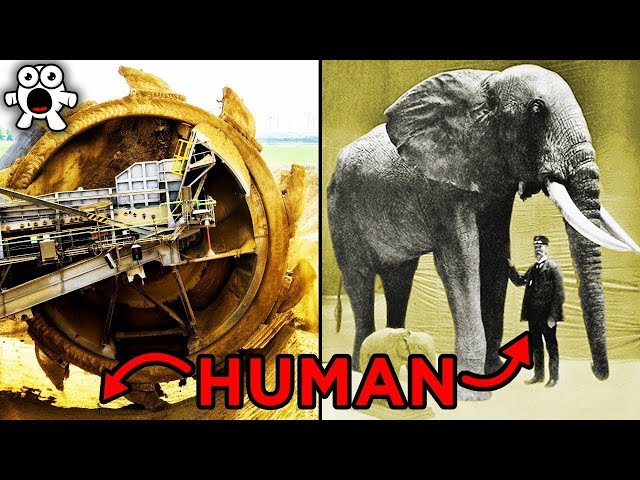 The Biggest Things In The World