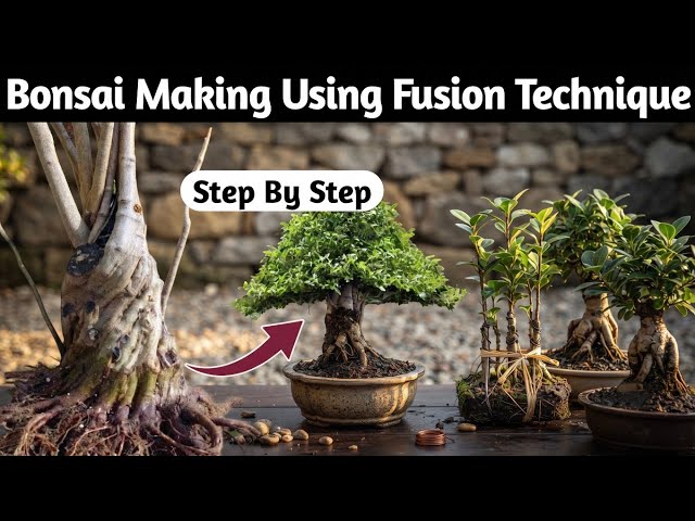 Bonsai Making Using Secret Fusion Technique