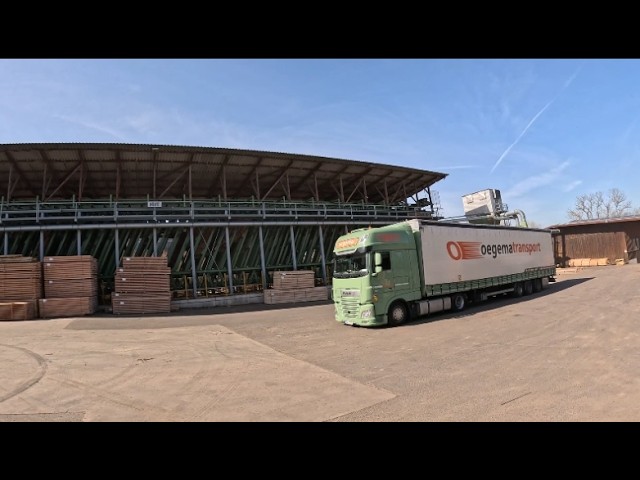 Easy Timber Loading | Unique Wood Sorting Machine in Germany