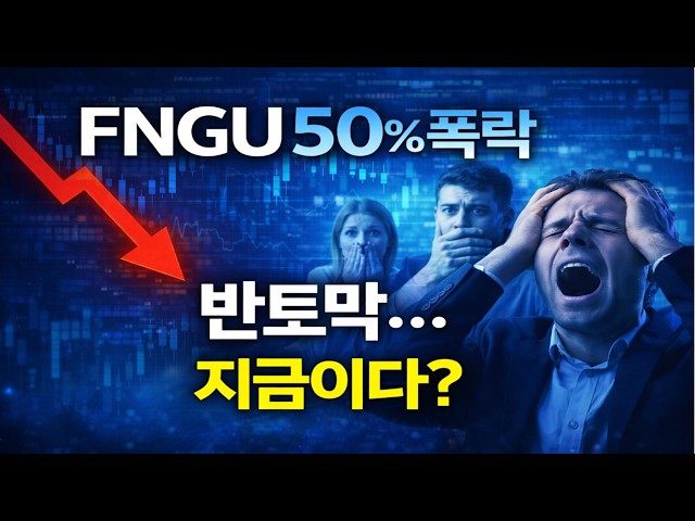 3배 레버리지 FNGU 50% 폭락 매수 기회?