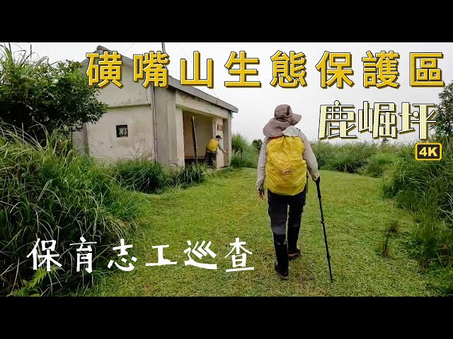 陽明山國家公園的保育志工在幹啥?去鹿崛坪逛逛...如果時光能倒流30年?