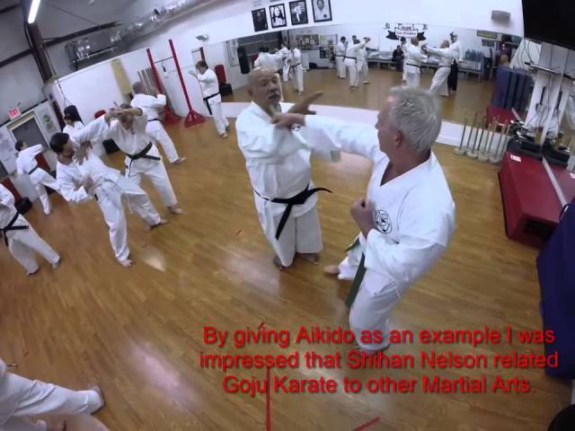 Episode 23: Fighter's Eyes 2015: The Karate Studio: Myrtle Beach, SC