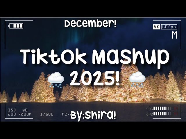 TikTok mashup 2025!🌨️