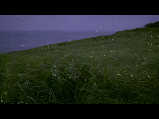 Rain & Wind Sounds for Sleep & Relaxation w/ Distant Thunder & Ocean Waves | Relaxing White Noise