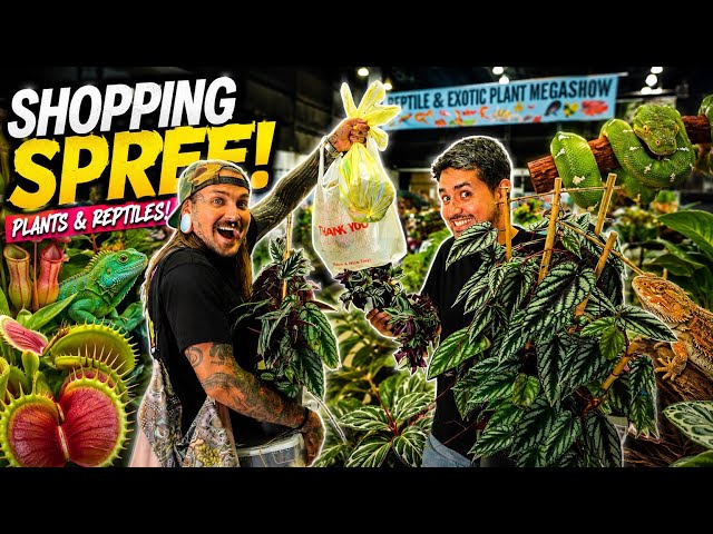 Shopping Spree at Florida’s REPTILE and EXOTIC PLANT MEGA SHOW !! 