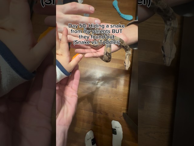 So cute🤣 #youtubeshorts #snake #pets #baby #shorts #viral #animals #reptiles #funny #shortvideos