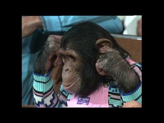 Live Dick Clark Presents 02 Michael Jacksons monkey Bubbles