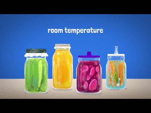 Fermentation for the Future: Food Safety Is Hot, Cold & Room Temperature