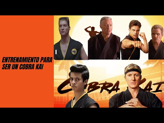 Cómo aprender karate cobra kai