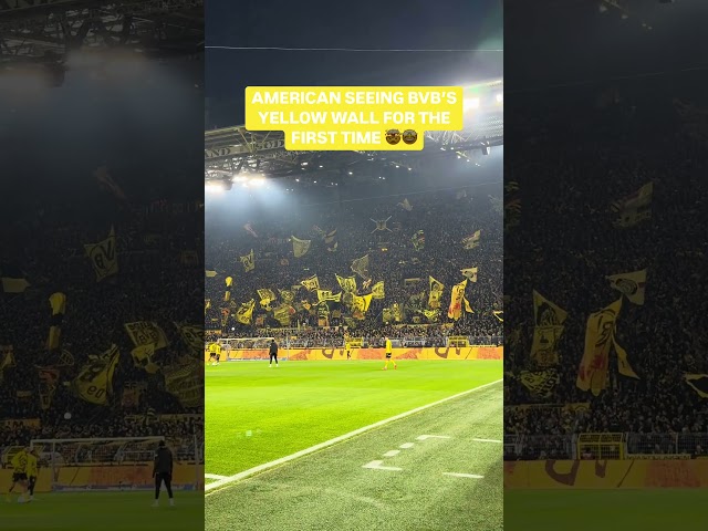 American Seeing BVB's Yellow Wall For The First Time 🤩