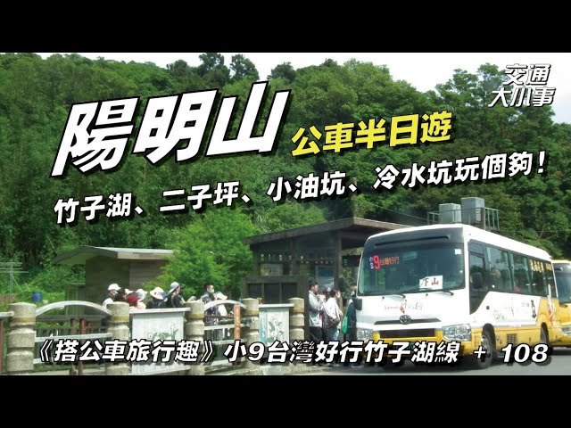 陽明山公車半日遊~欣賞海芋正是時候！竹子湖、二子坪、小油坑、冷水坑玩個夠～小9與108的組合可以怎麼搭車呢？｜交通大小事
