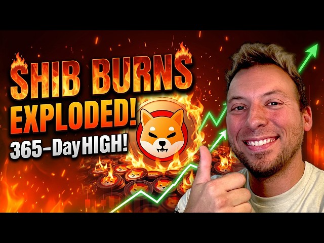 SHIBA INU - SHIB Burns Have Exploded!!! Highest in 365 Days! Will This Continue?!