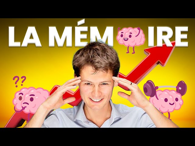 Become a learning machine (feat. the French memory champion)