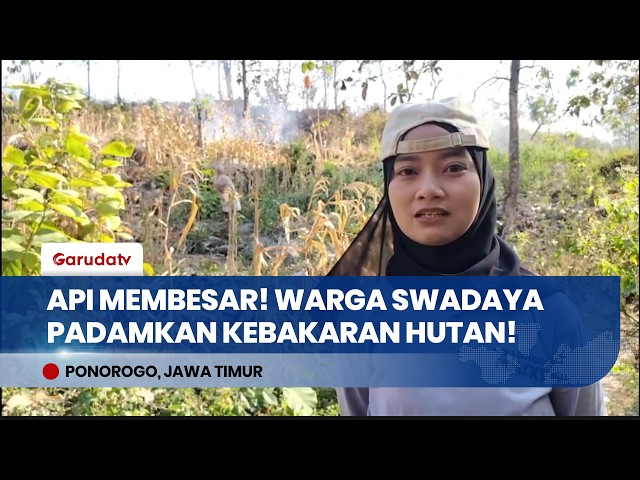 Perhutani Forest Fire Spreads to Farmland, Ponorogo Residents Fight Blaze Independently