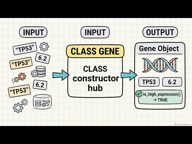 Python Classes Explained: Build a Gene Object with __init__, Attributes & Methods