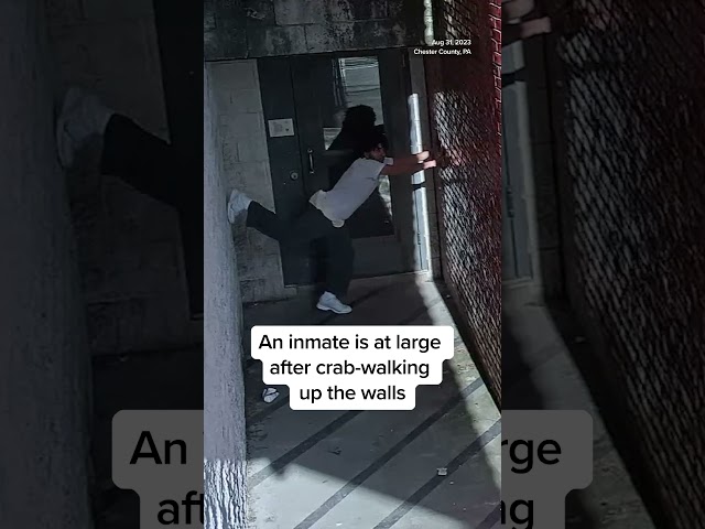 Inmate is at large after crab-walking out of prison