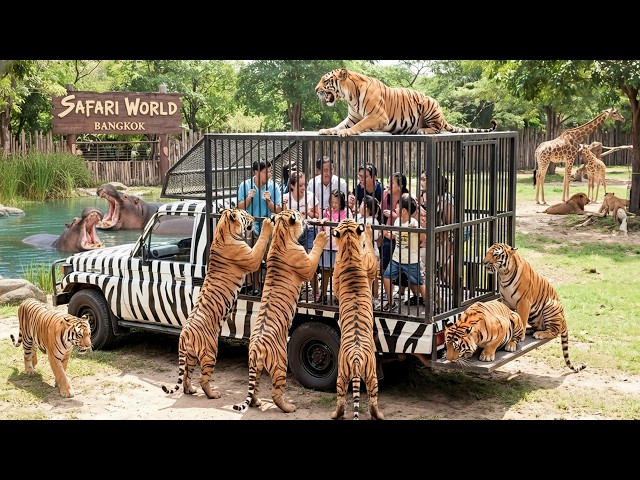 Safari World Bangkok, Thailand's Best Zoo & Animal Park | Full Tour (4K Video)
