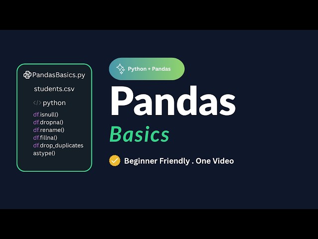 Pandas Data Cleaning for Beginners | isnull(), dropna(), fillna() & More