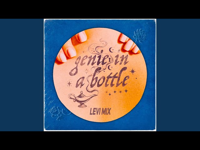 Genie in a Bottle (Levi Mix)
