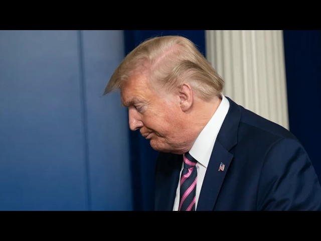 Trump accidentally HUMILIATES himself in BRUTAL post | Another Day
