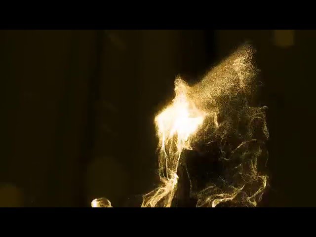 Logo Design | Desert Eagle Coffee Video Intro