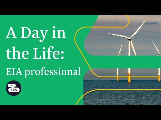 Un día en la vida de un profesional de evaluación de impacto ambiental (EIA)