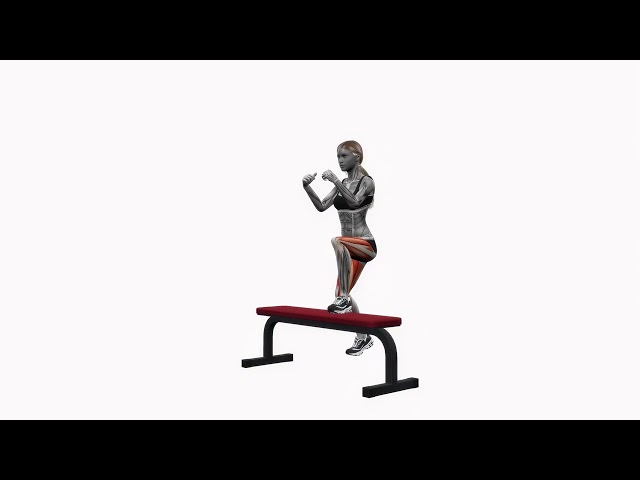 Bench Alternating Step Ups - Proper Form & Technique [4K]