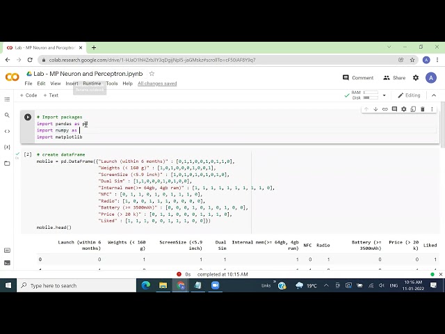 Perceptron Learning Algorithm | Python Hands On