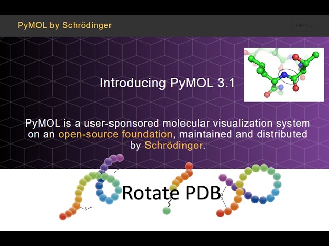 Playing with peptide structures in PyMol