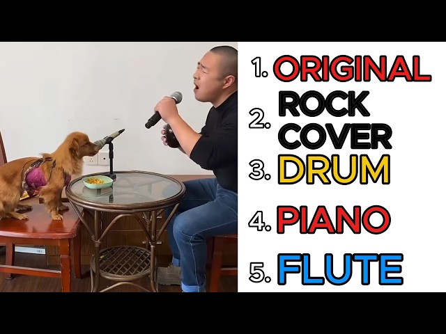 Chinese Man Singing With Dog In Different Instruments
