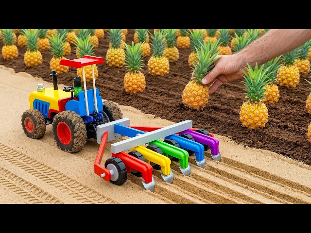 Top Most Creative DIY Rainbow Plough Machine for Mini Pineapple Farm | HP Mini DIY Tractor