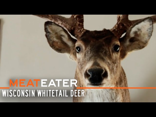 Big Bucks and Small Game: Wisconsin Whitetail Deer | S1E10 | MeatEater