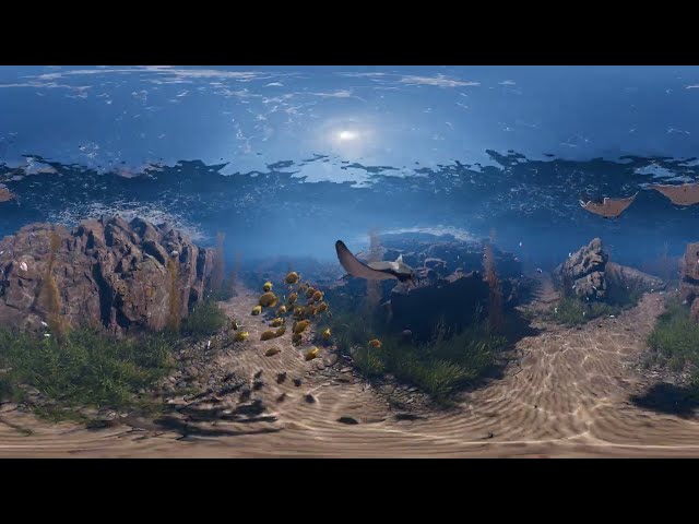 Tropical Dive Unity underwater scene with boids (360 mono cam)