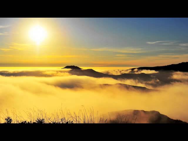 Somatic Responses - Travel Advice (eat around the egg)