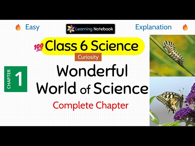 Class 6 Wonderful World of Science | Class 6 science curiosity chapter 1