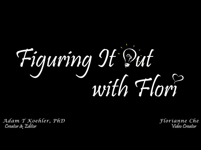 Fractions, Fixed-Point Binary, and IEEE 754 Floating Point | Figuring It Out with Flori